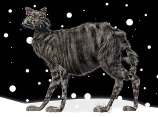 Illustration for article titled The Ultimate Guide to Evil Cats in Science Fiction and Fantasy